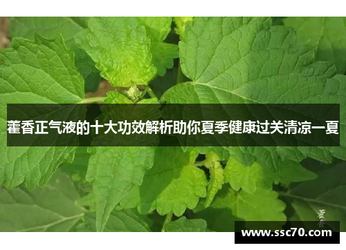 藿香正气液的十大功效解析助你夏季健康过关清凉一夏