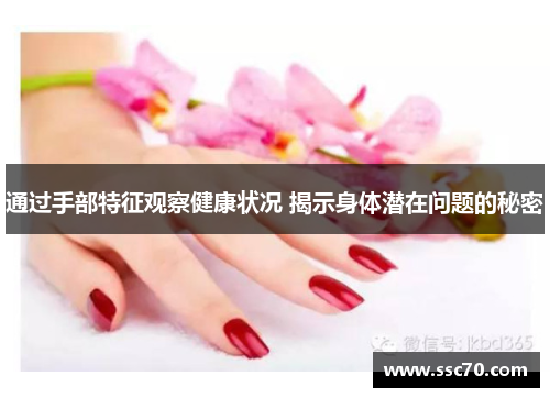 通过手部特征观察健康状况 揭示身体潜在问题的秘密